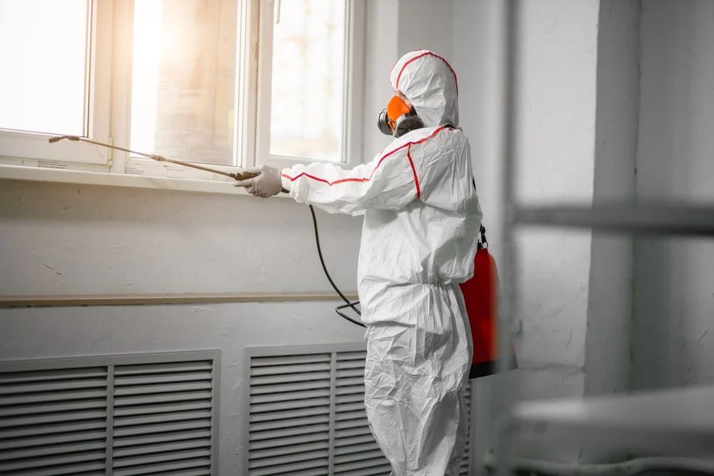 Professional mold remediation services in Pittsfield, NH